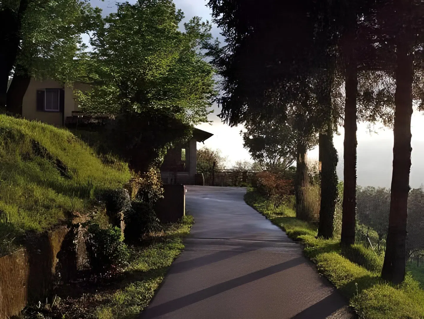 Agriturismo Forest LANDSCAPE