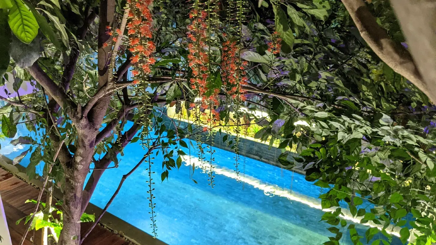 Sarina Hotel & Villa OUTDOOR_POOL