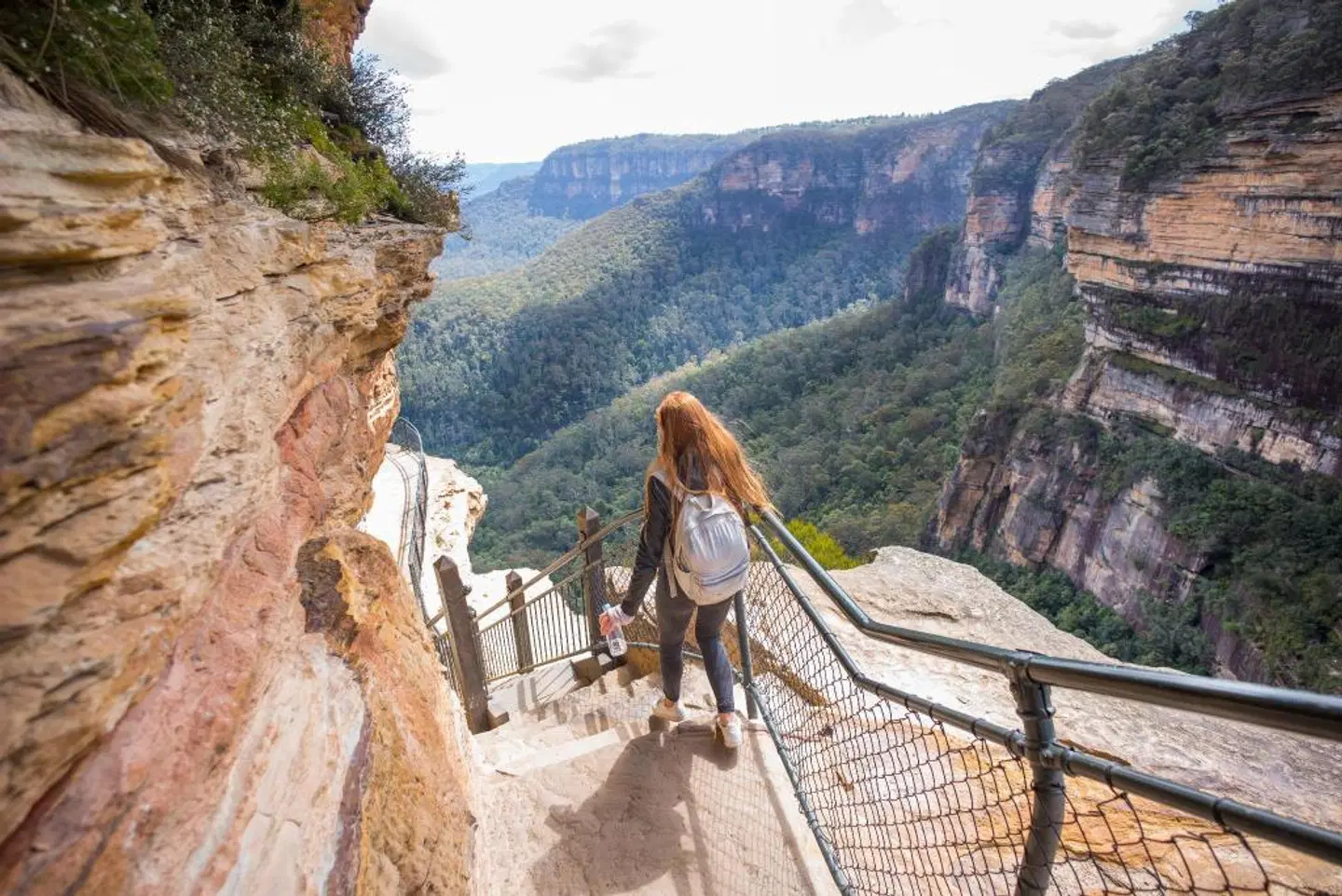 Blue Mountains YHA LANDSCAPE