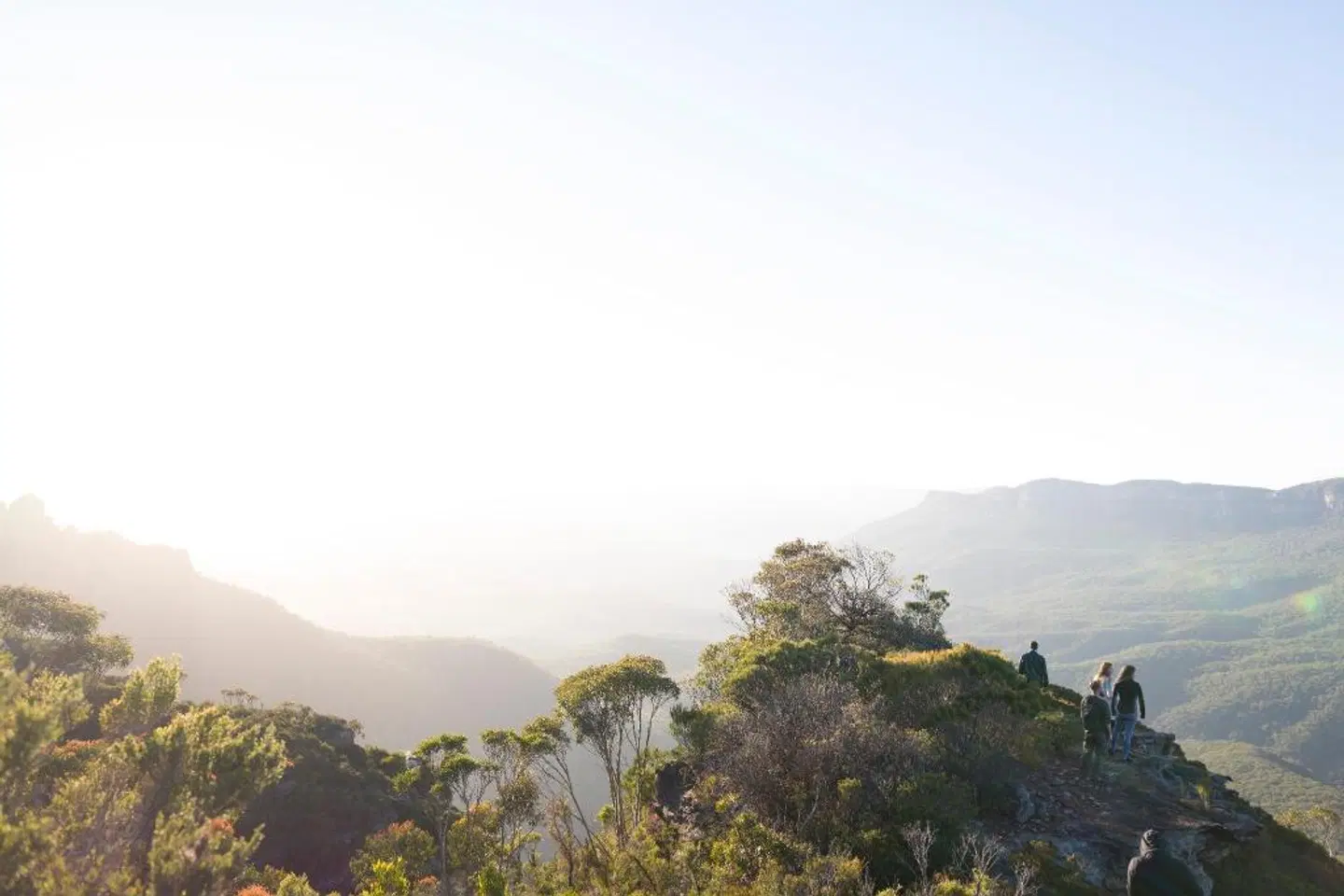 Blue Mountains YHA LANDSCAPE