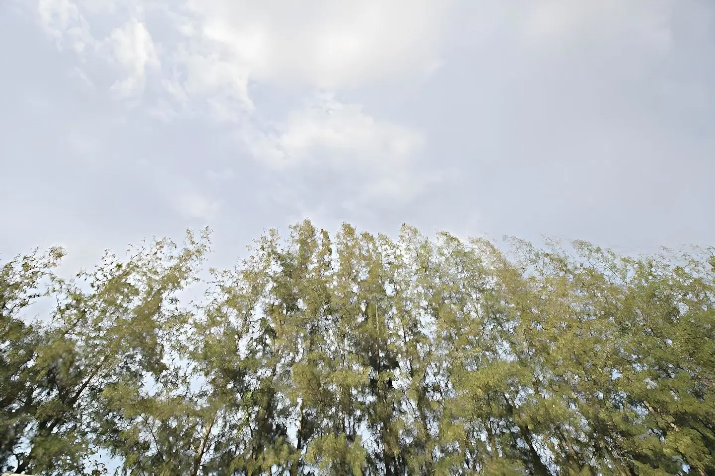 On Green Resort LANDSCAPE