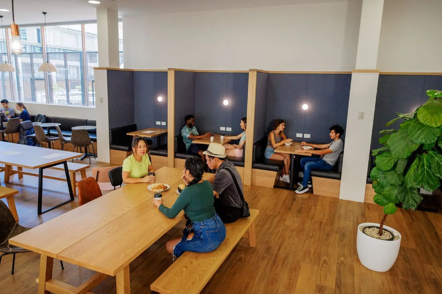 Sydney Harbour YHA SPORTS_AND_LEISURE