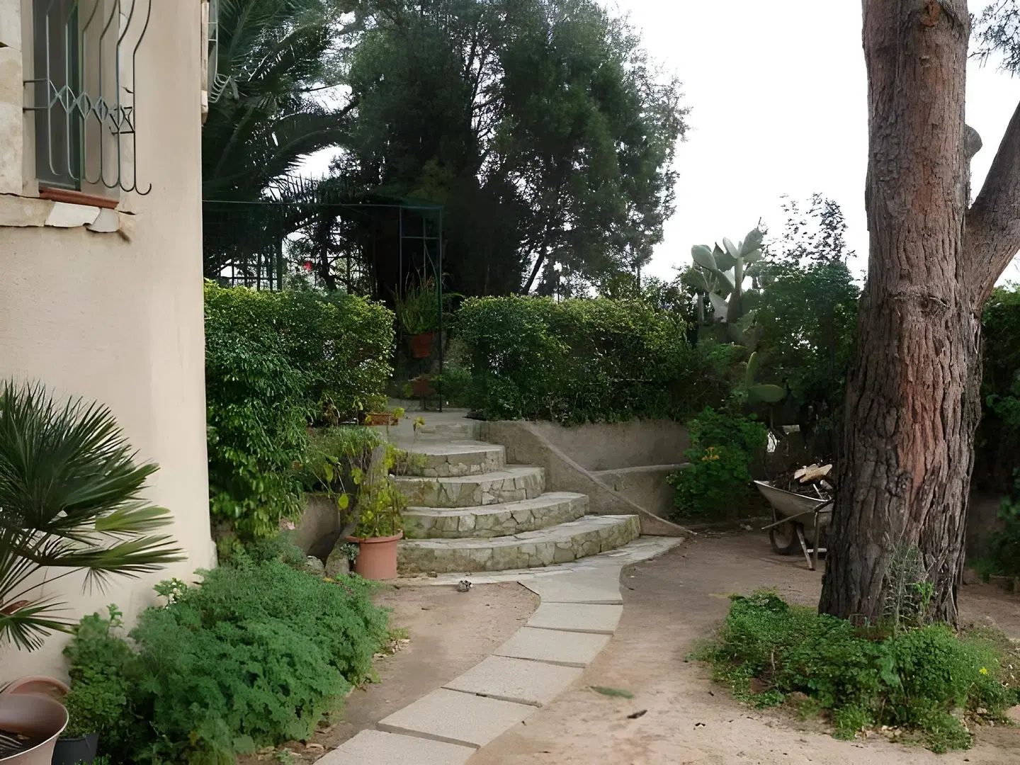 B&B Il Vigneto Garten