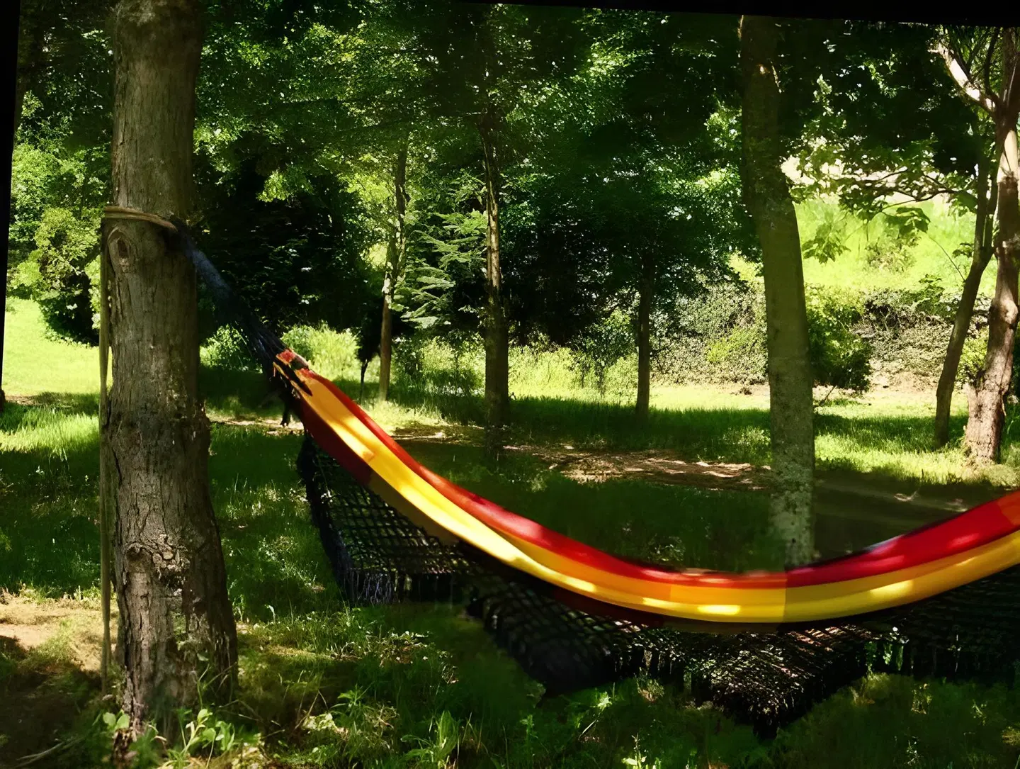 Quinta De Abol De Baixo Garten