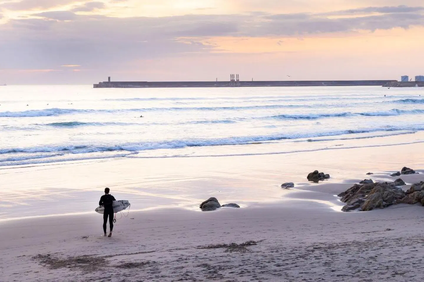 Four Points by Sheraton Matosinhos Tiere