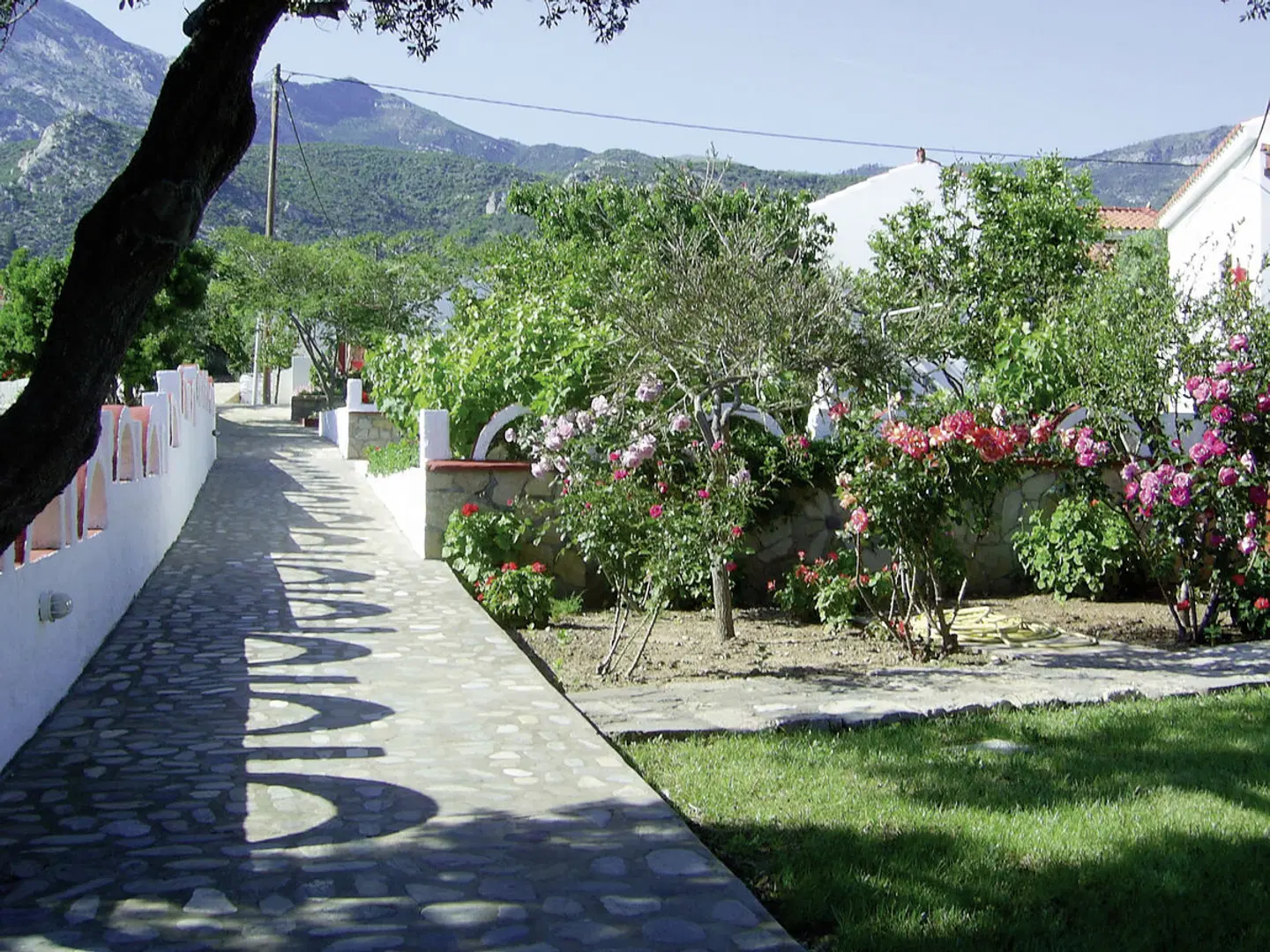 Edem LANDSCAPE