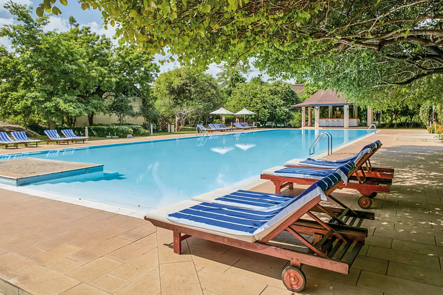 The Paradise Dambulla OUTDOOR_POOL
