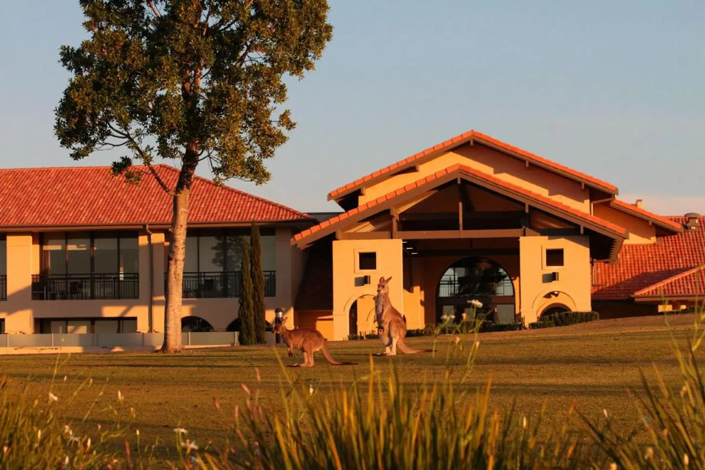 Chateau Elan At The Vintage Hunter Valley Bar