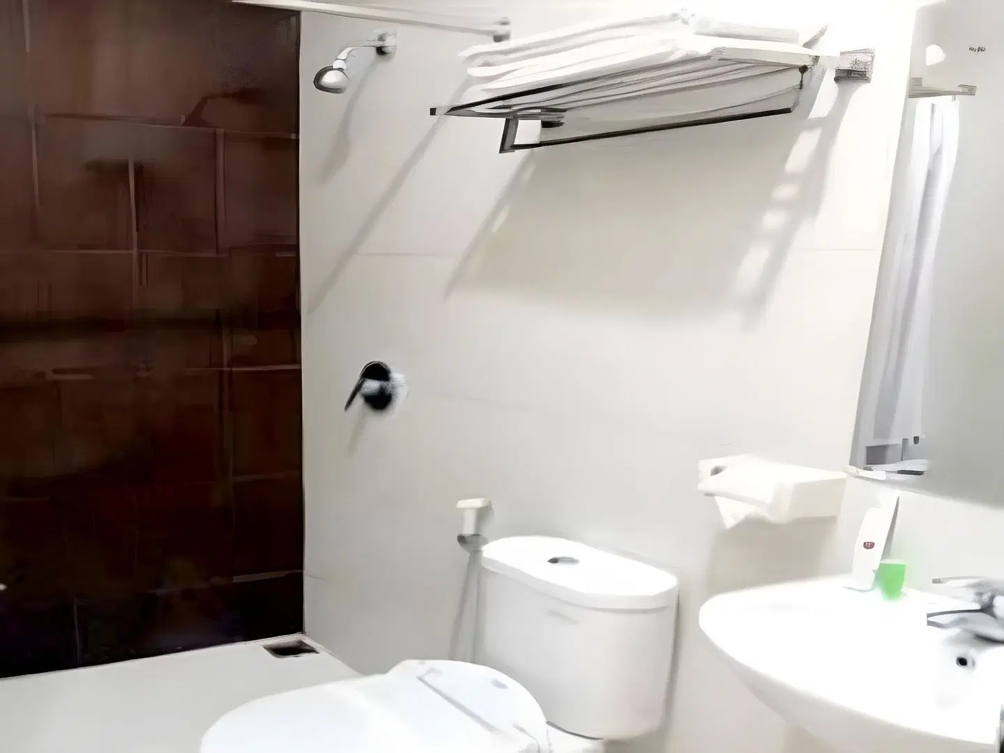 Vindhika Hotel BATHROOM