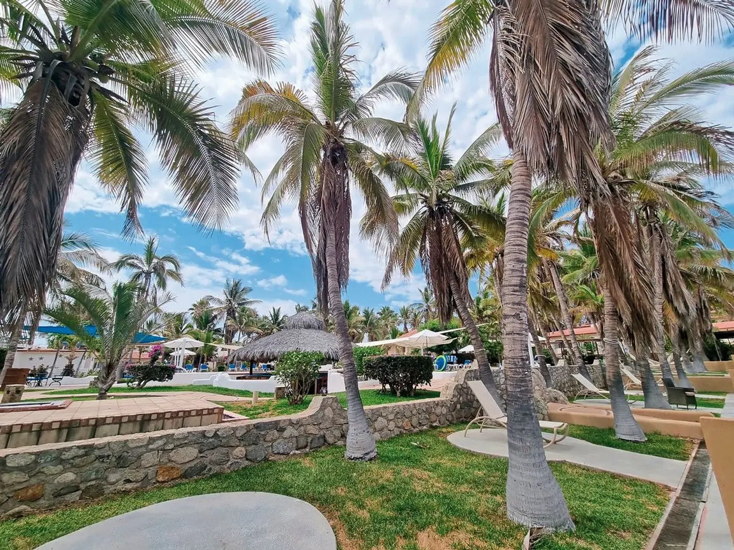 Buena Vista Oceanfront & Hot Springs Resort Garten