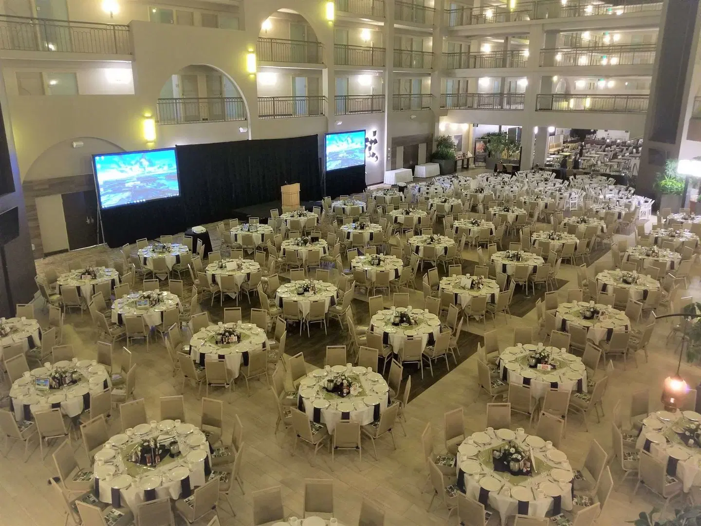 Embassy Suites by Hilton Seattle - North/Lynnwood Tiere