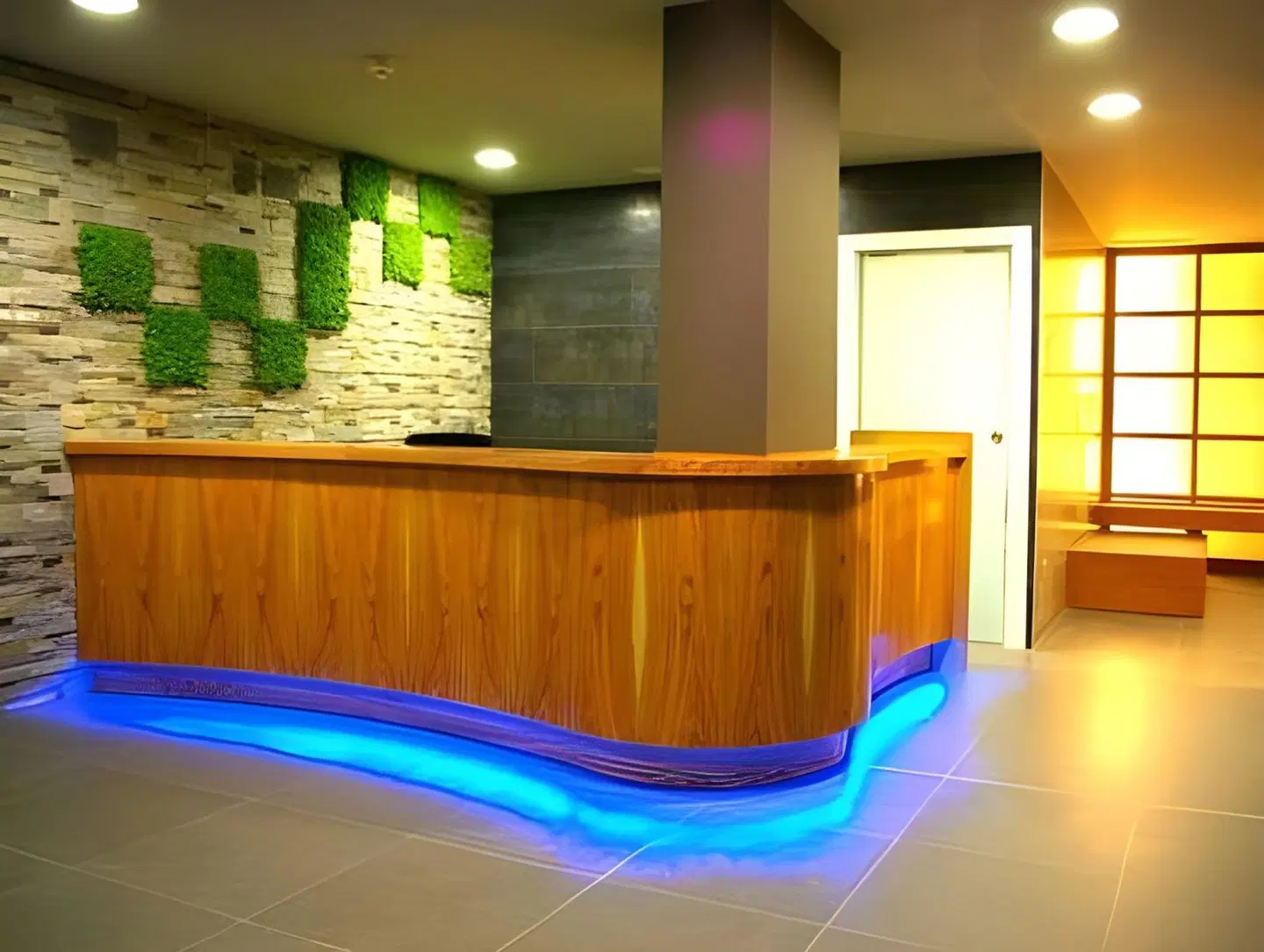 Apartahotel & Spa Jacetania LOUNGE_LOBBY