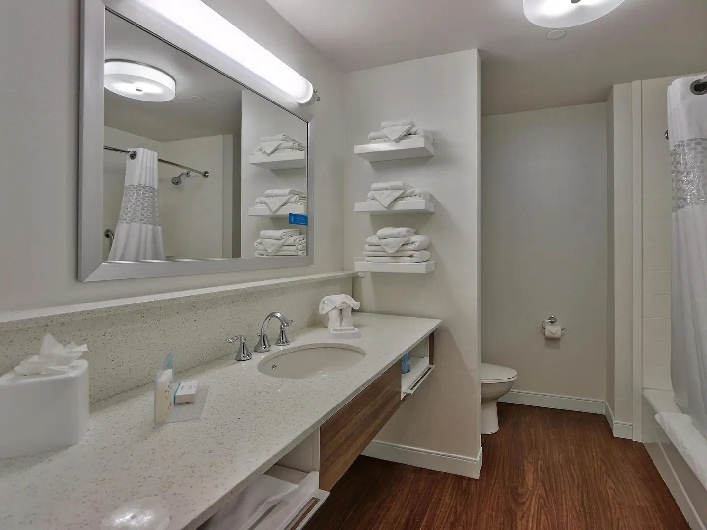 Hampton Inn & Suites Las Cruces I-10 Badezimmer