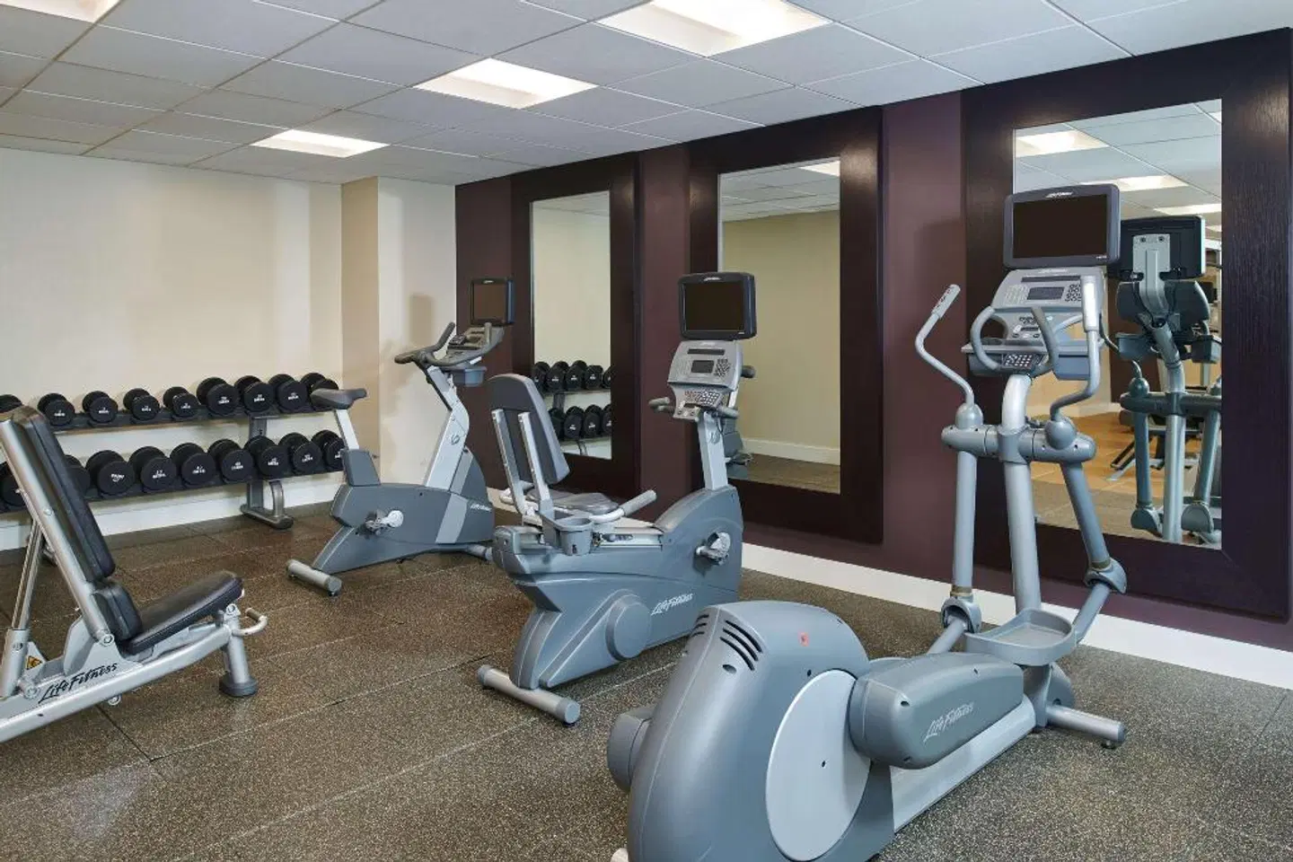 Hotel Alex Johnson Rapid City, Curio Collection by Hilton SPORTS_AND_LEISURE