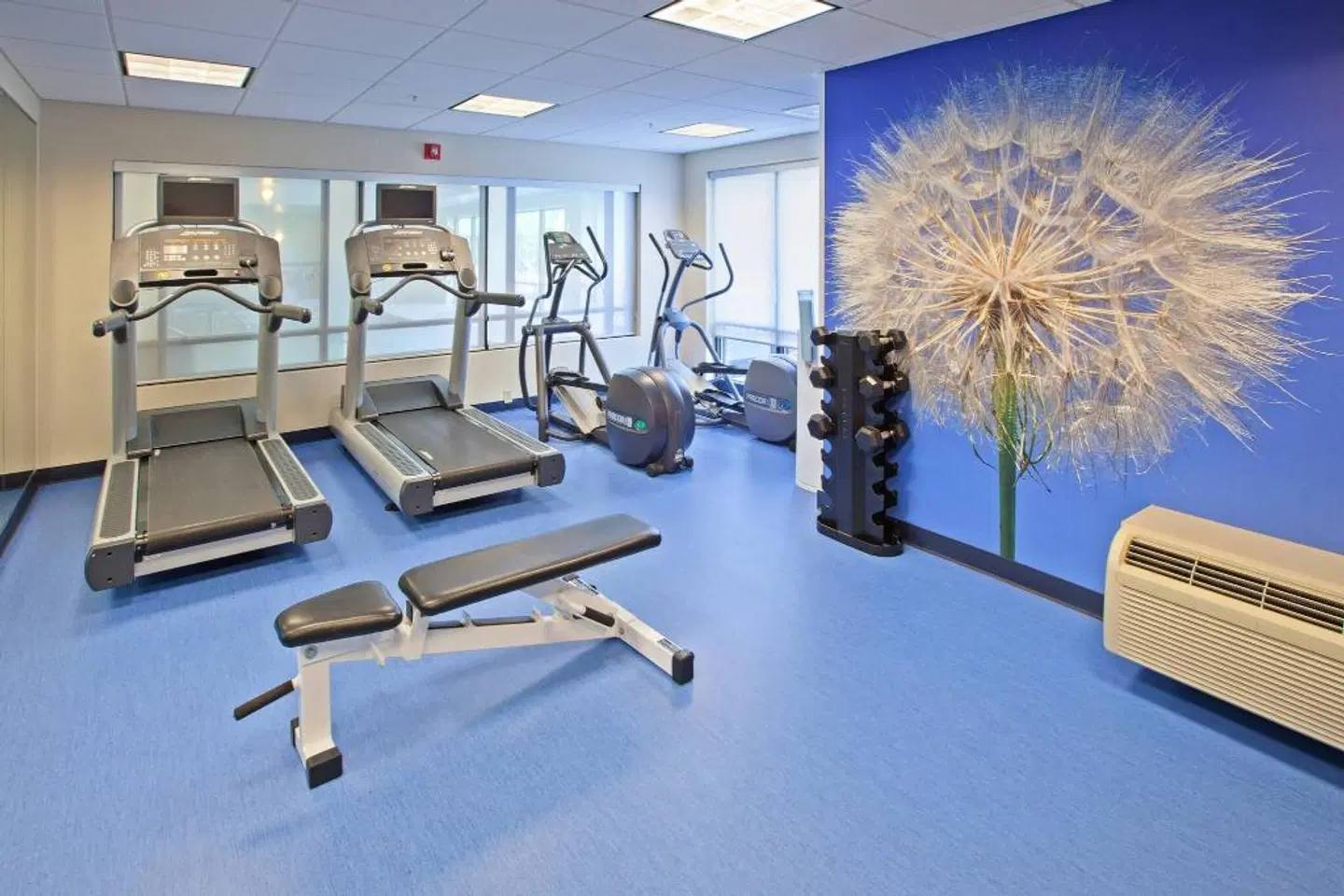 SpringHill Suites Chicago Schaumburg SPORTS_AND_LEISURE
