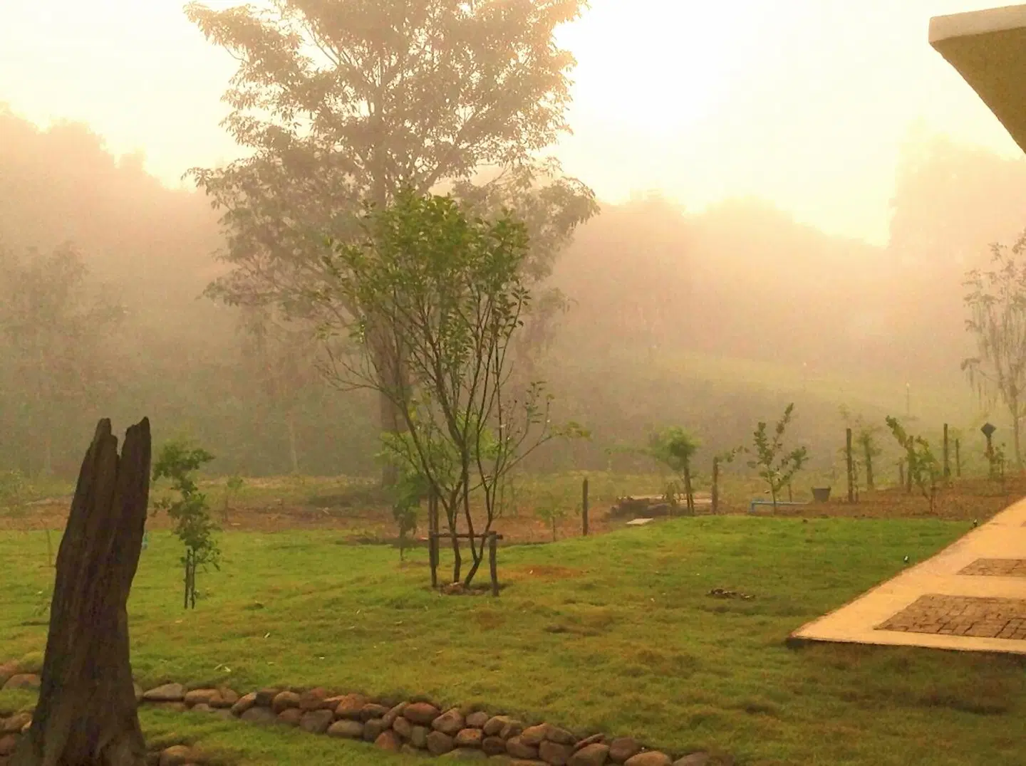 Dandelion Resort LANDSCAPE