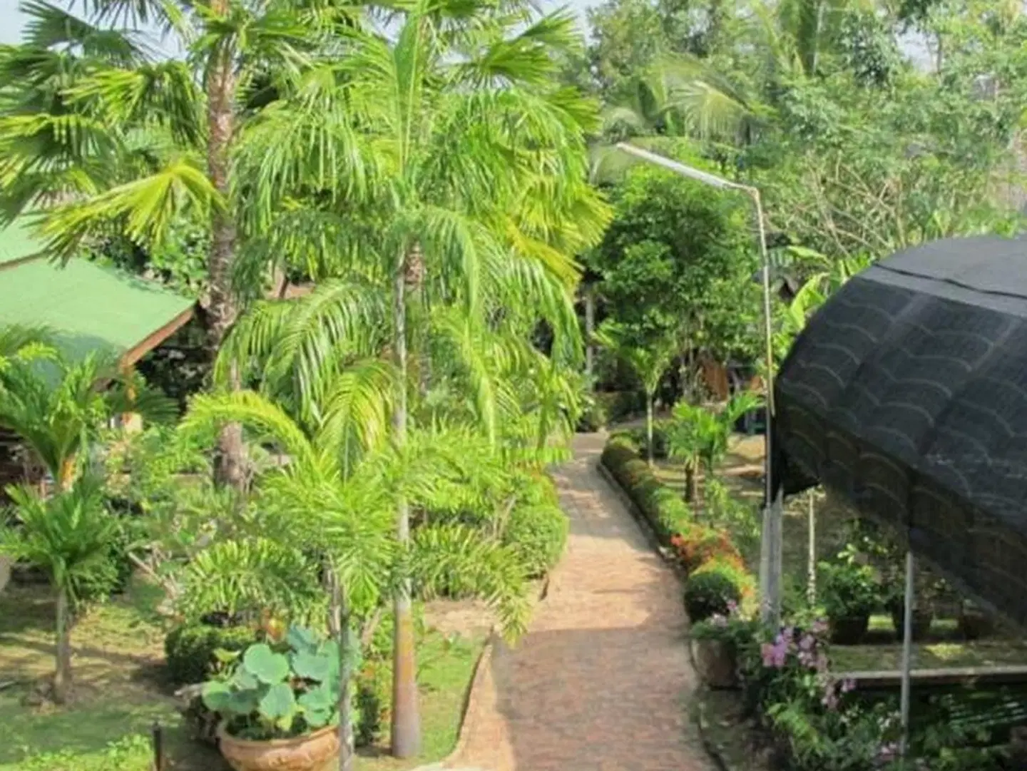 Orchid Hibiscus Guest House Garten