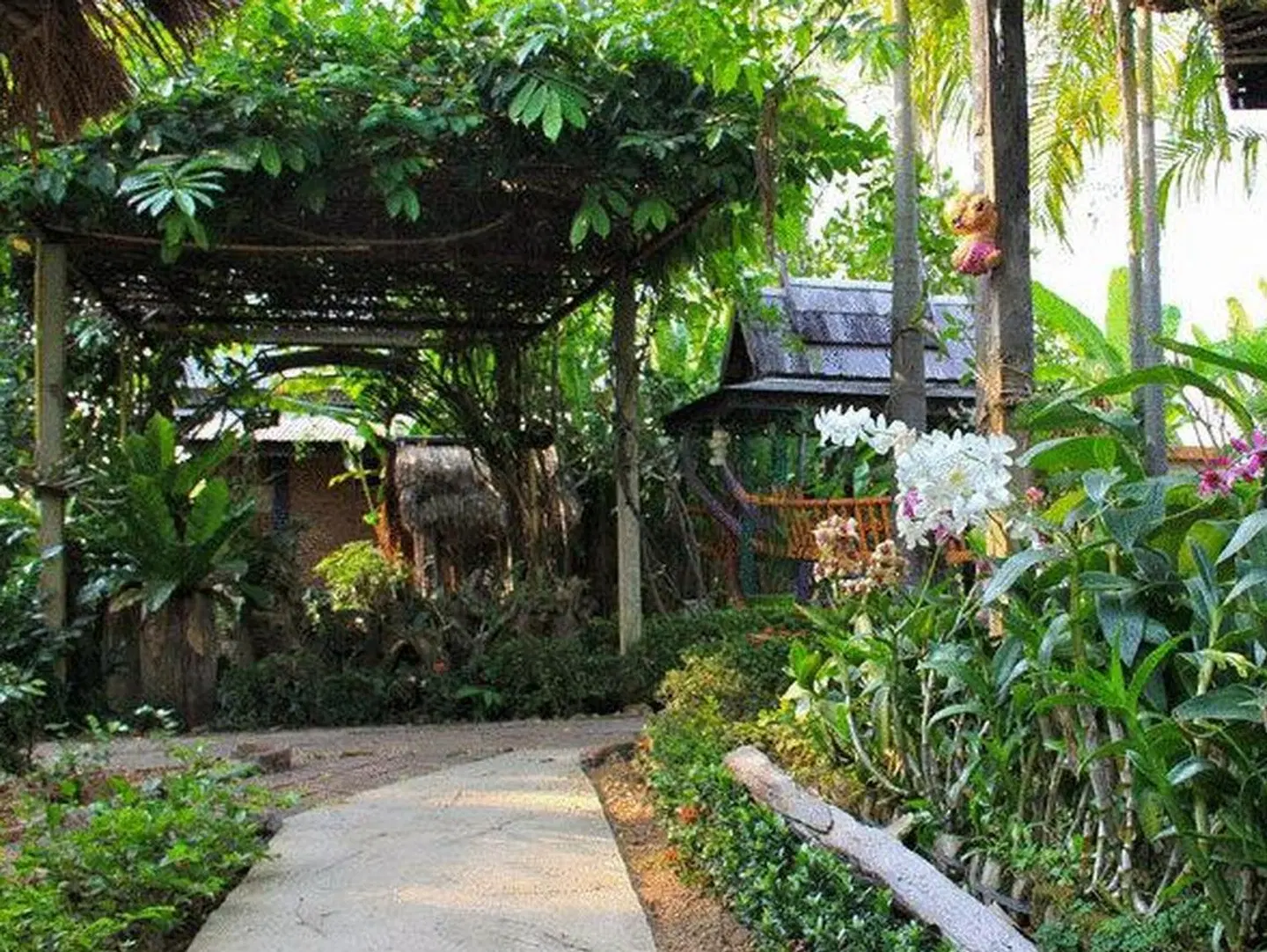 Orchid Hibiscus Guest House Garten