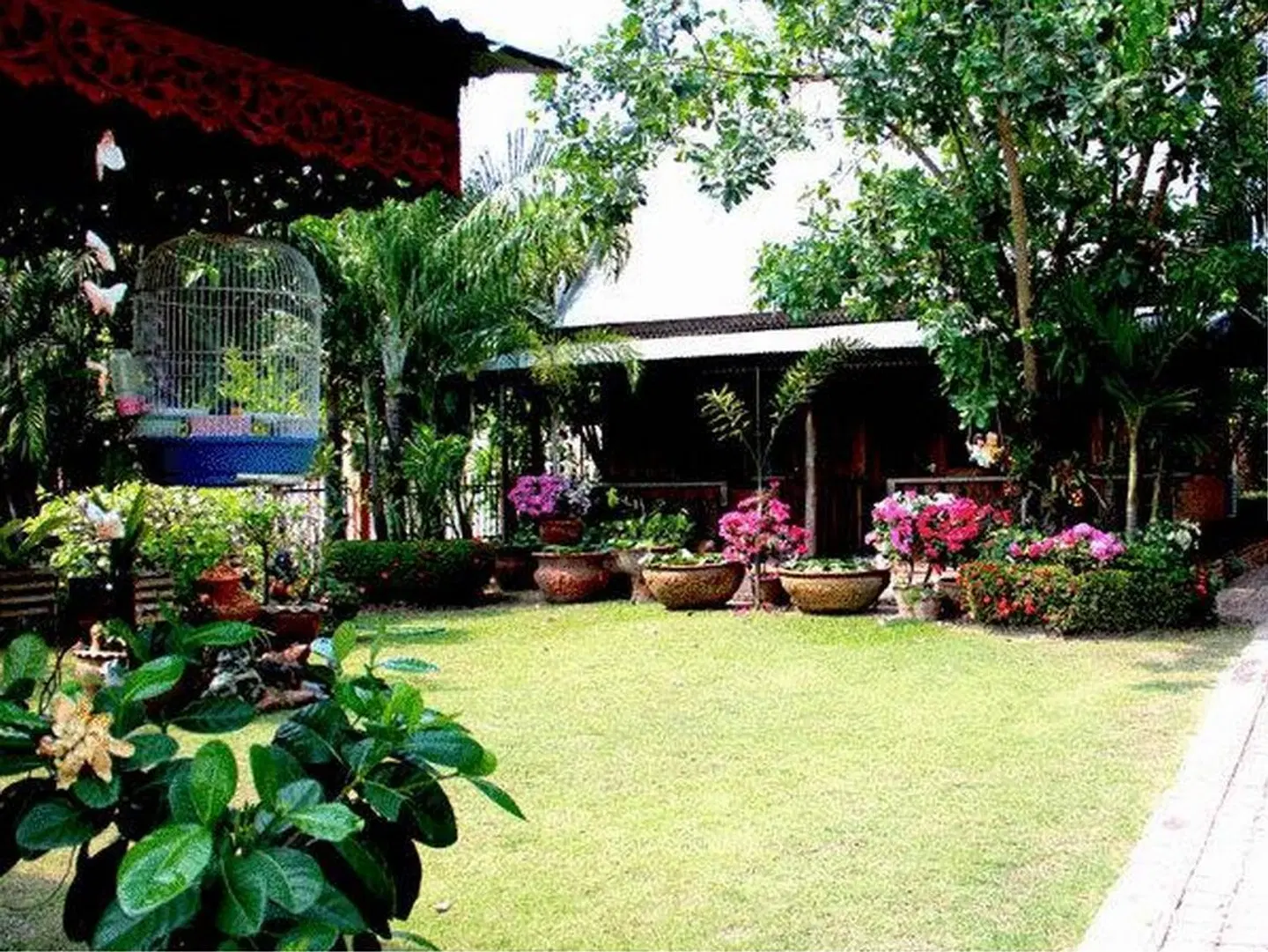 Orchid Hibiscus Guest House Garten
