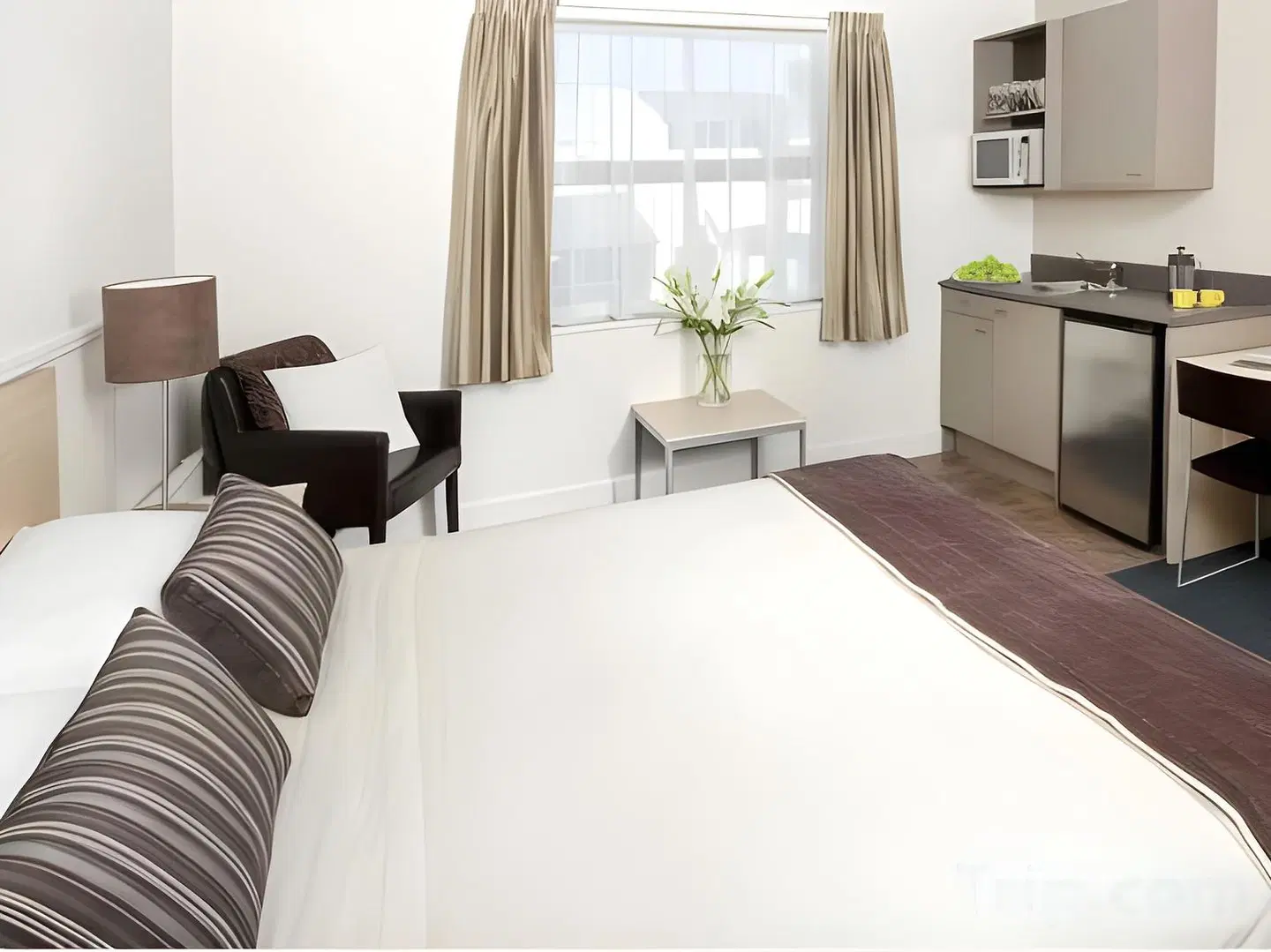 Quest Dunedin ROOM_EXAMPLE