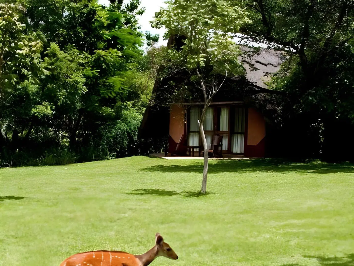 Protea Hotel by Marriott Lusaka Safari Lodge GARDEN