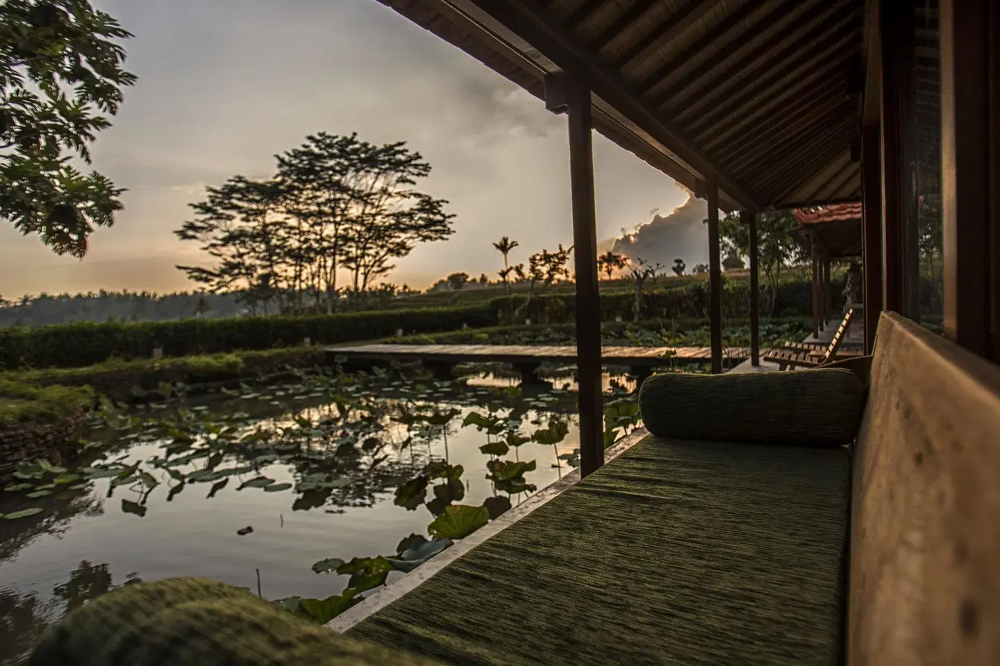 Griya KCB Villa Ubud LANDSCAPE