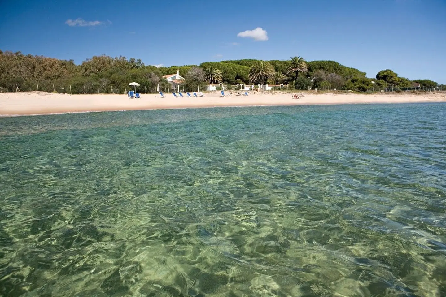 Mare Pineta Strand