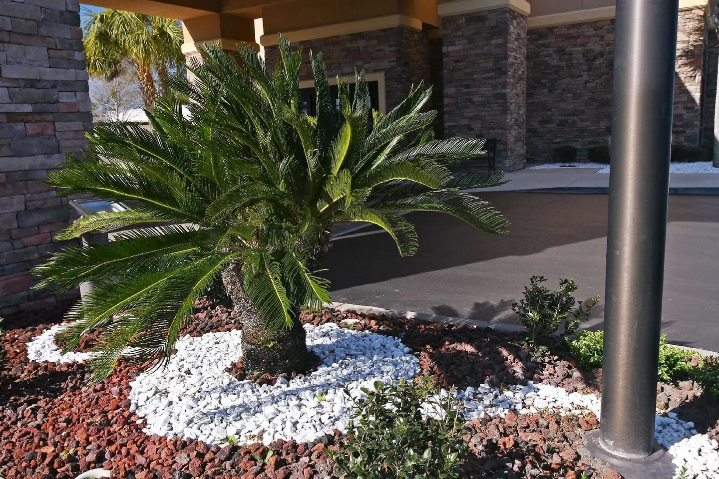Hampton Inn & Suites Jacksonville - Beach Boulevard/Mayo Clinic Area Garten