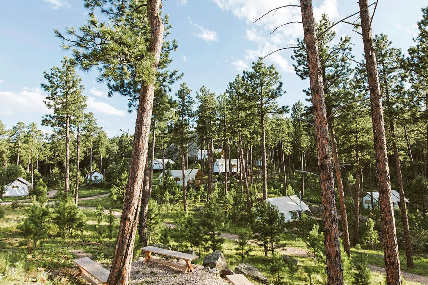 Under Canvas Mount Rushmore Garten