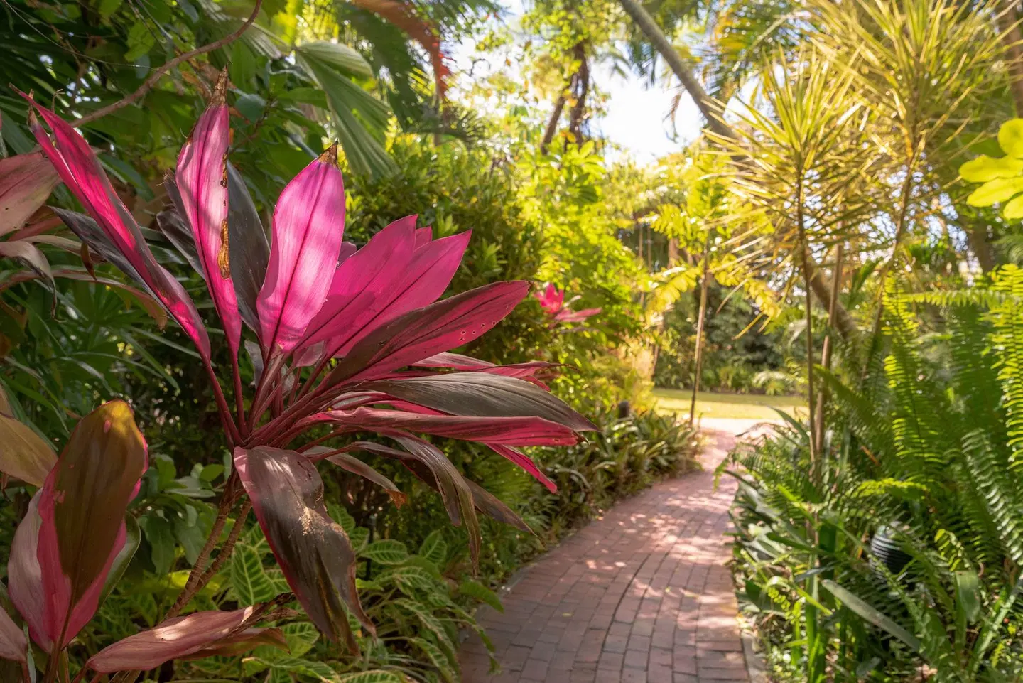 Hilton Cairns Garten
