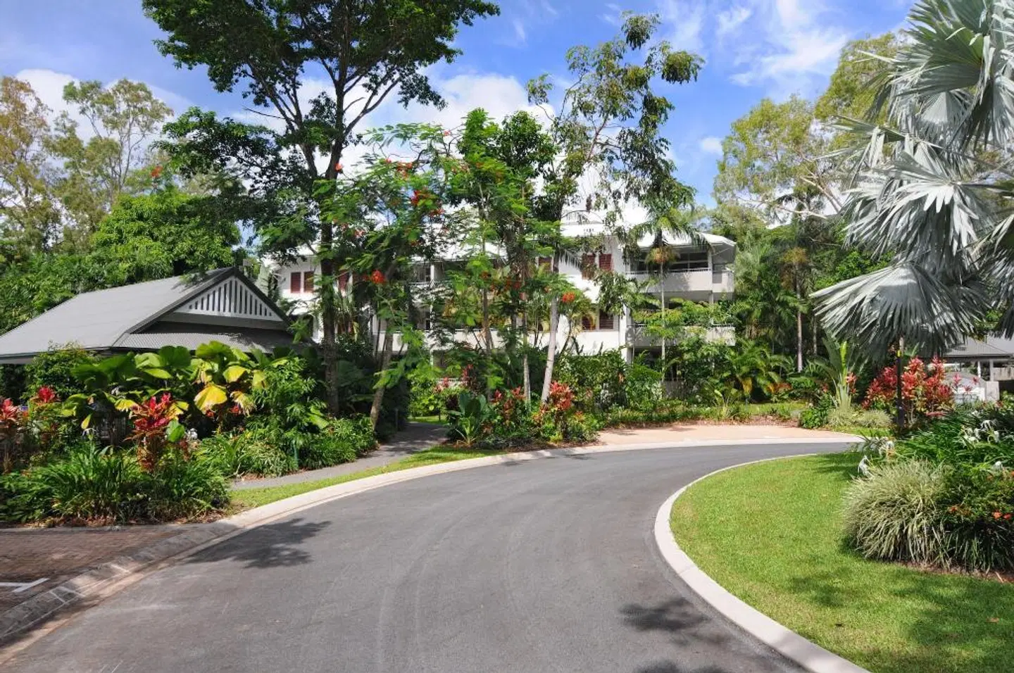 Oasis at Palm Cove LANDSCAPE
