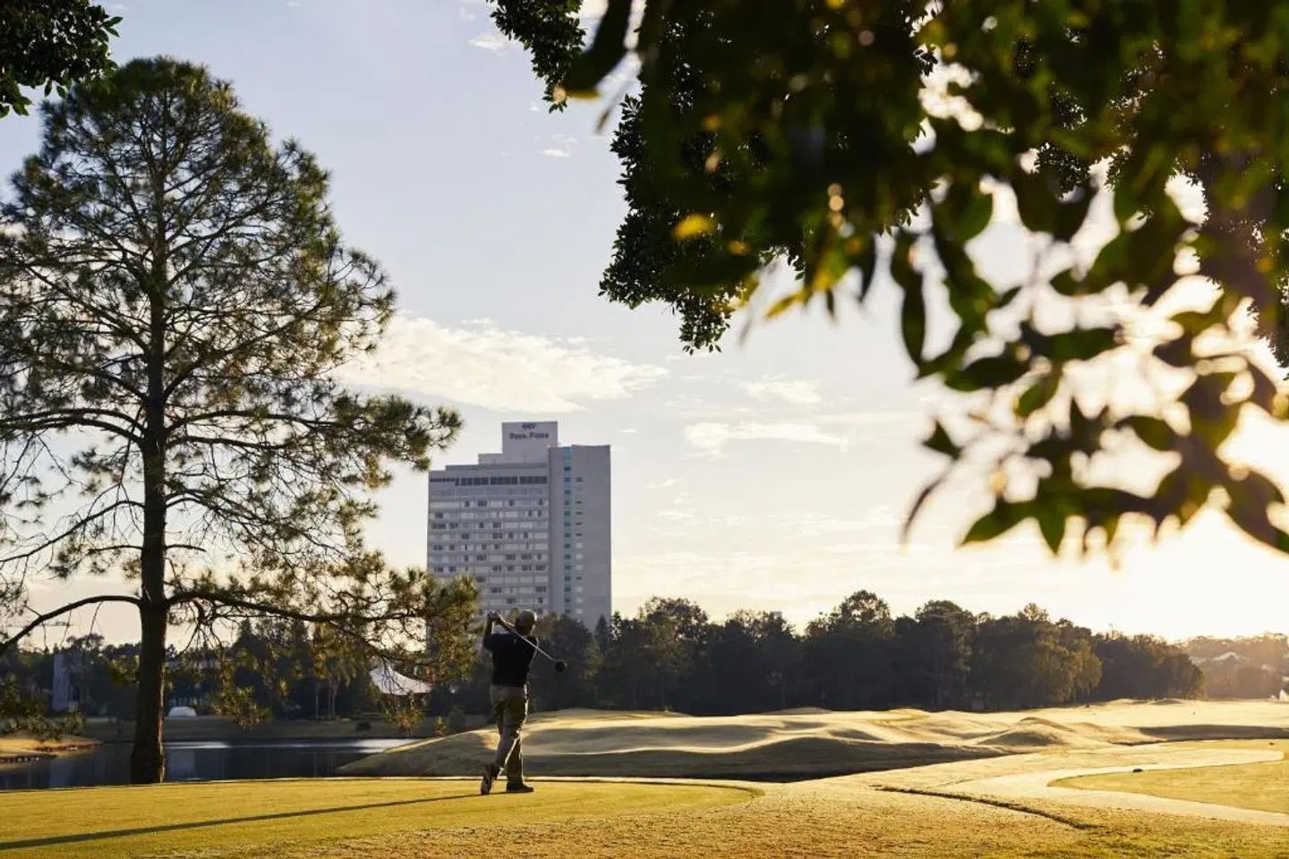 RACV Royal Pines Resort Tiere
