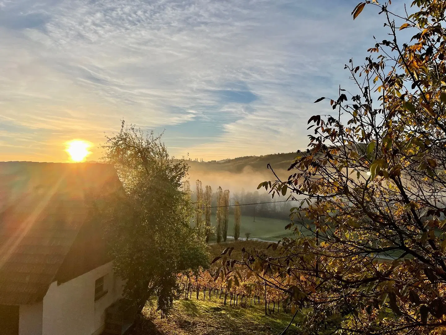 Weingut Rohrbacher LANDSCAPE