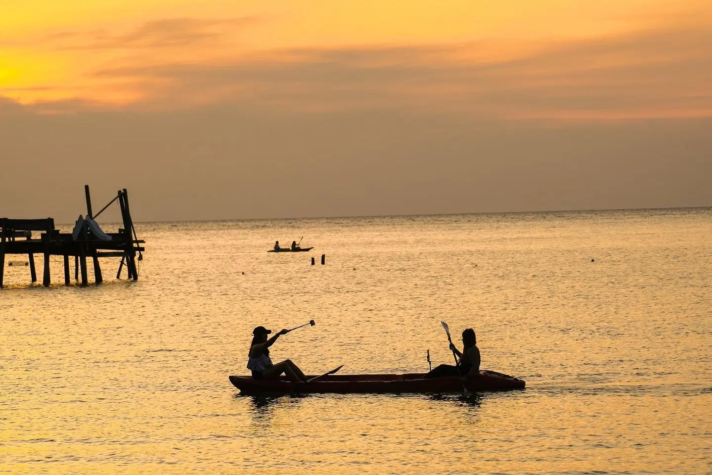 Siam Beach Resort, Koh Kood Tiere