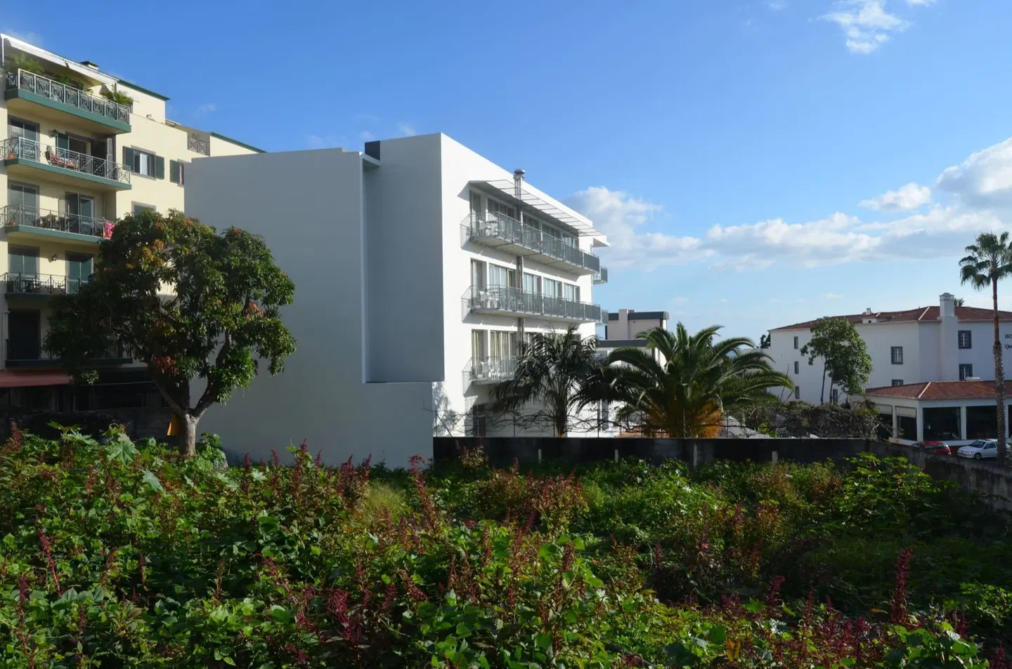 Madeira Bright Star EXTERIOR