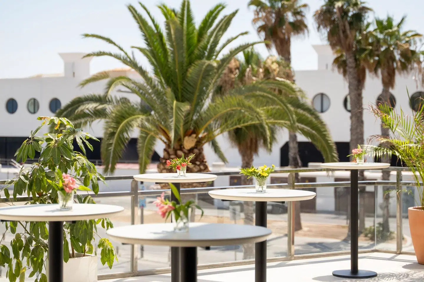 INNSiDE Alicante Porta Maris Terrasse