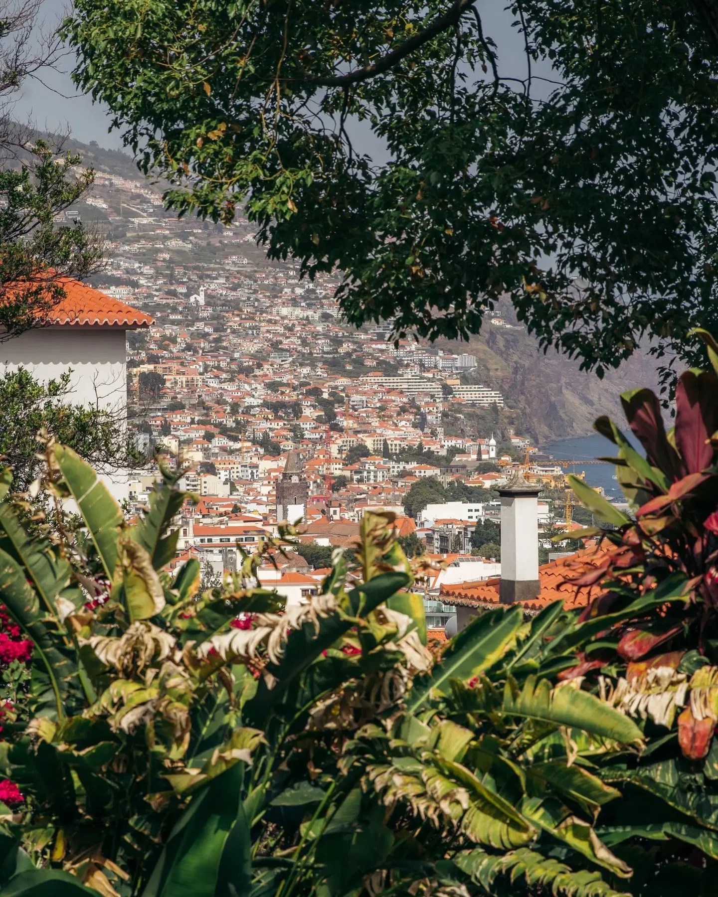 Quintinha São João Garten