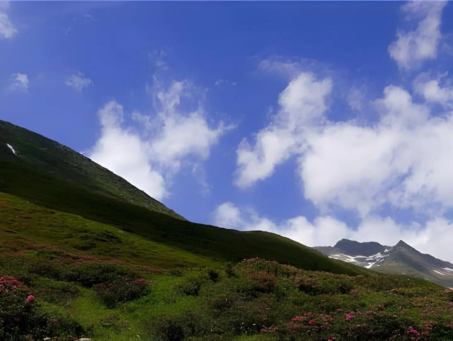 Macher's Landhotel LANDSCAPE