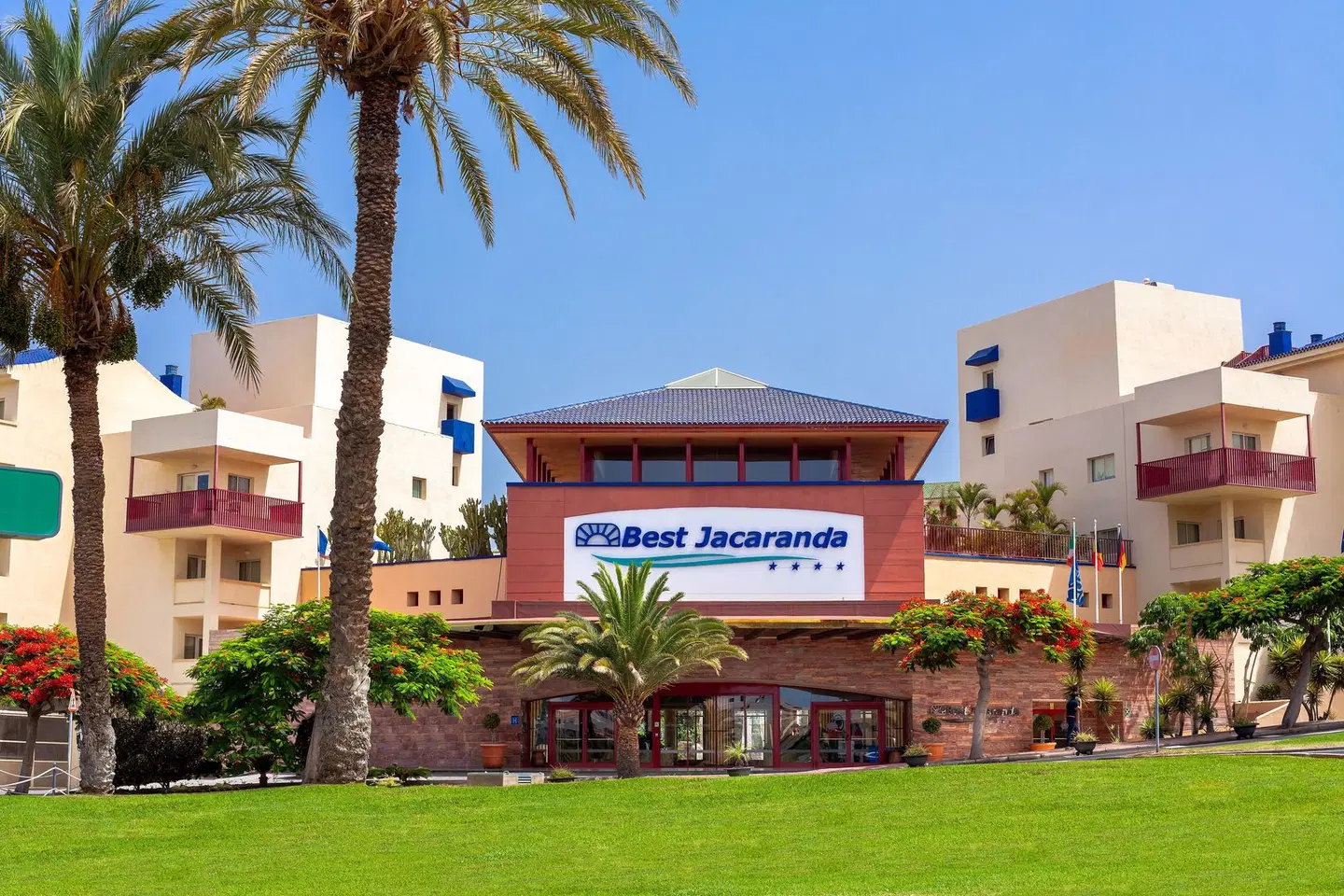 Best Jacaranda EXTERIOR