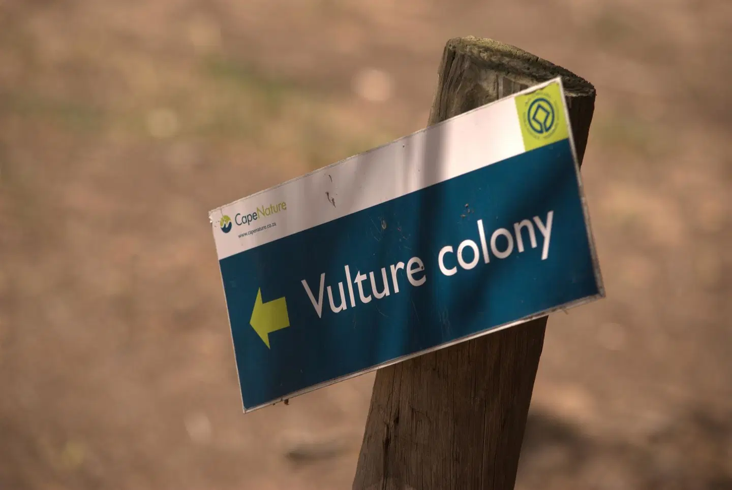 De Hoop Collection EXTERIOR