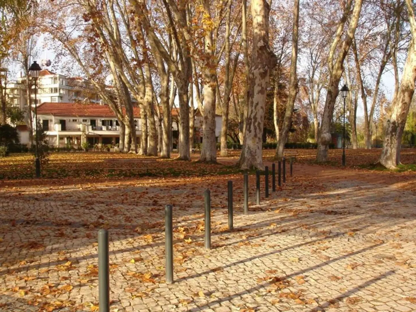 Estalagem Santa Iria LANDSCAPE