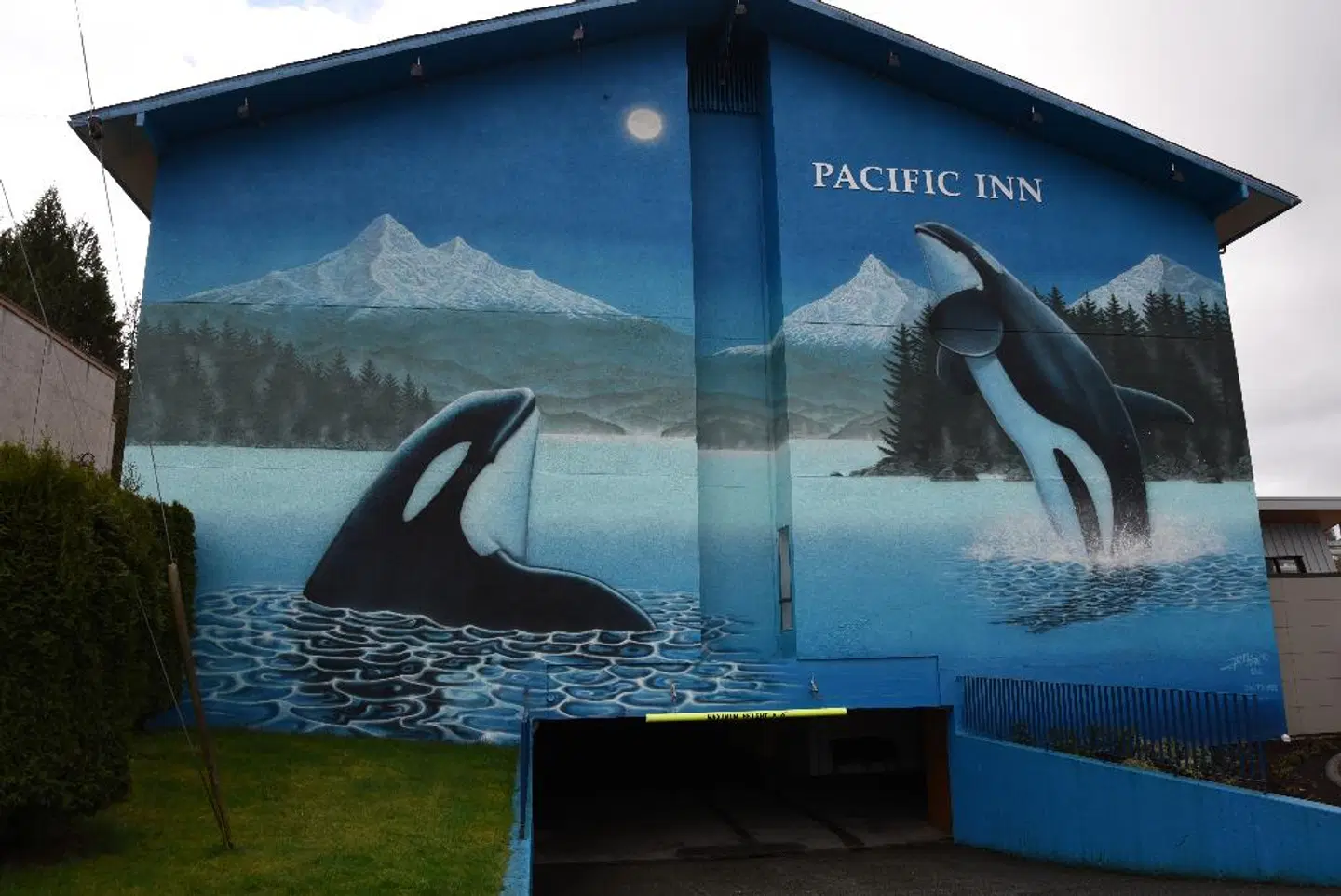The Pacific Inn Tiere