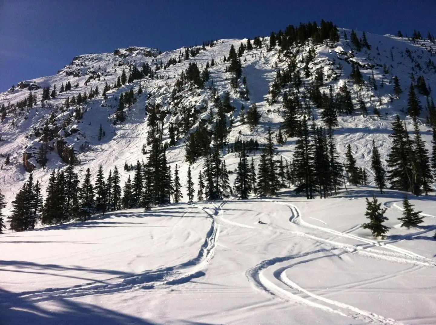 Copper Horse Lodge LANDSCAPE