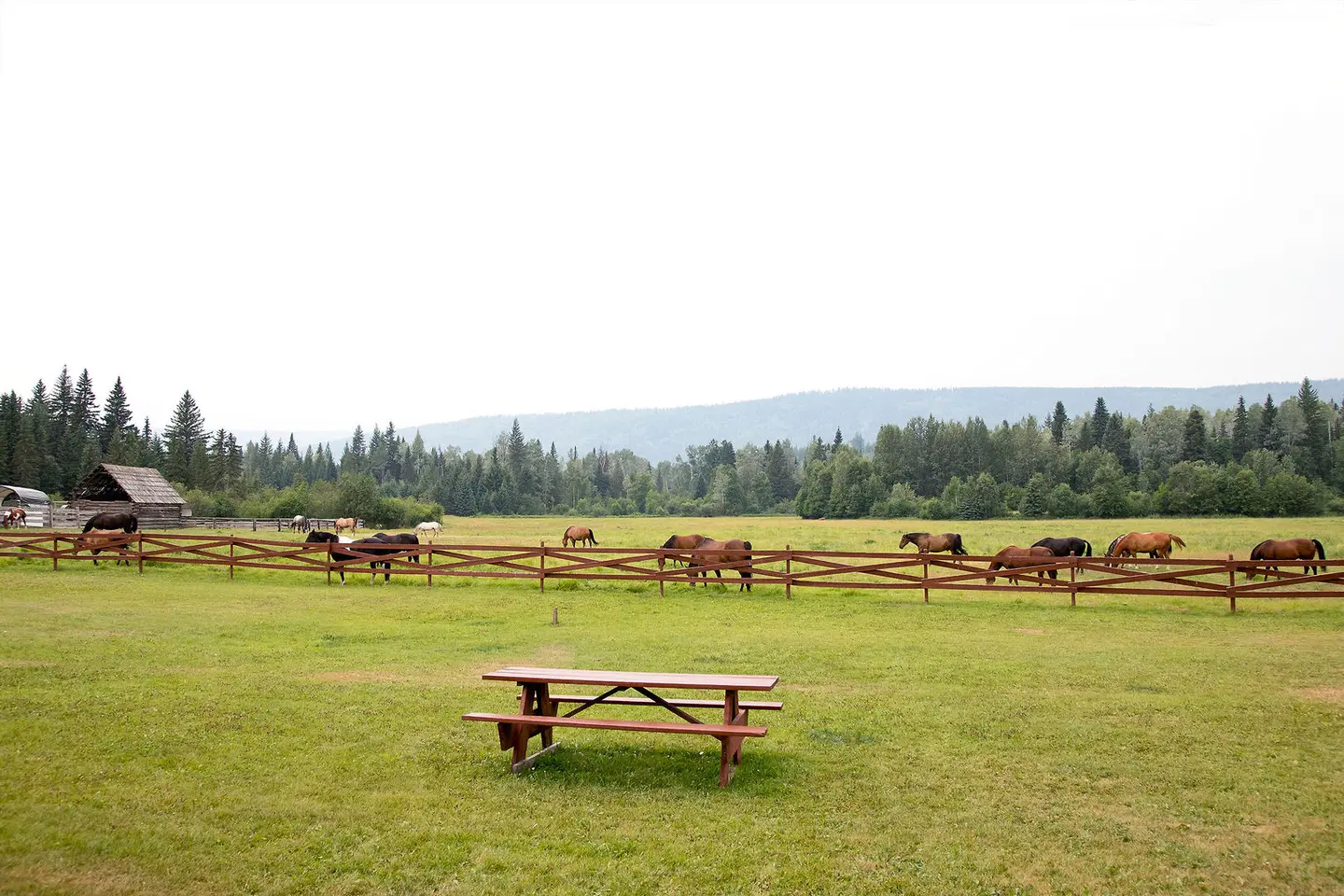 Wells Gray Guest Ranch SPORTS_AND_LEISURE