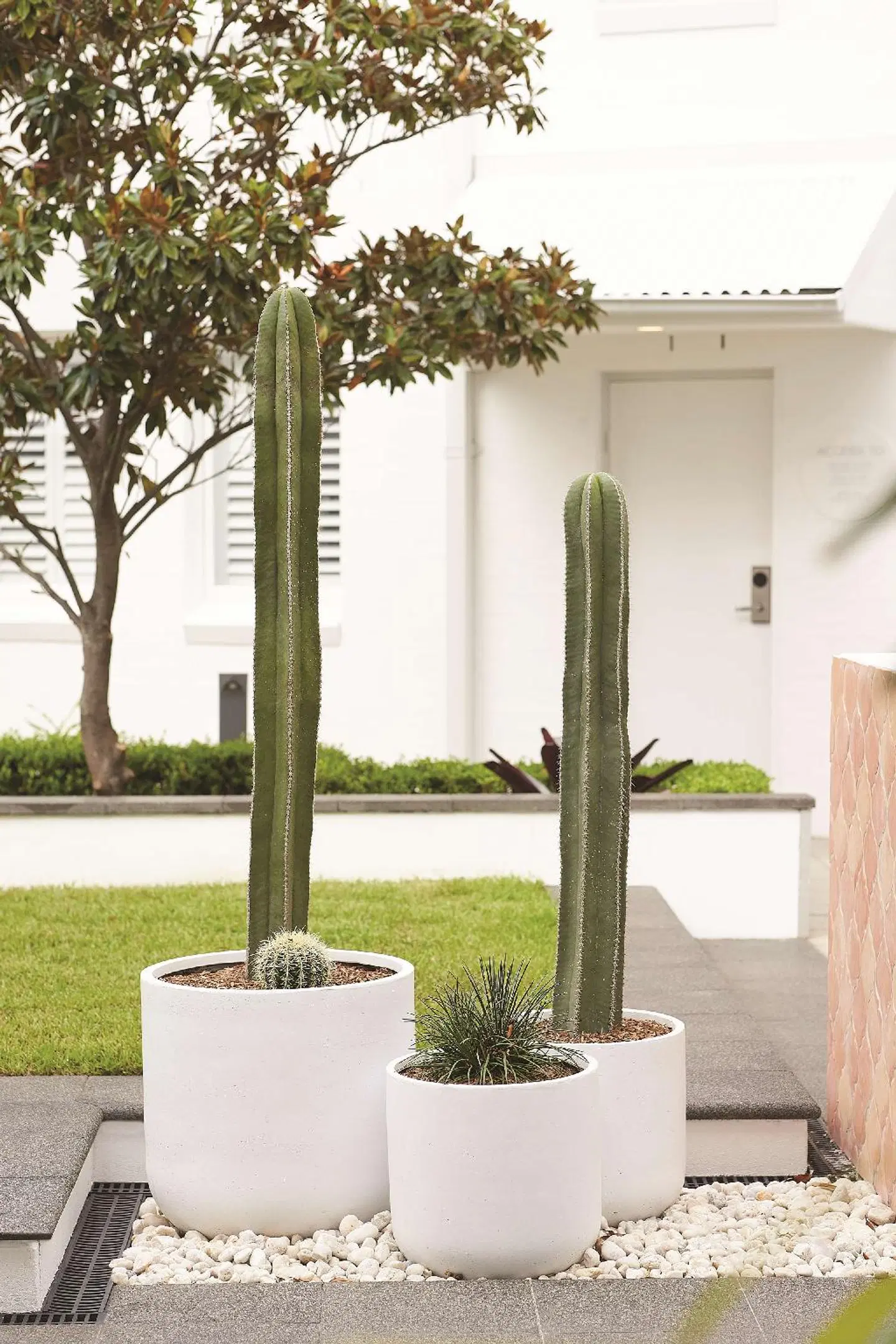 Adina Chippendale HEALTH_BEAUTY