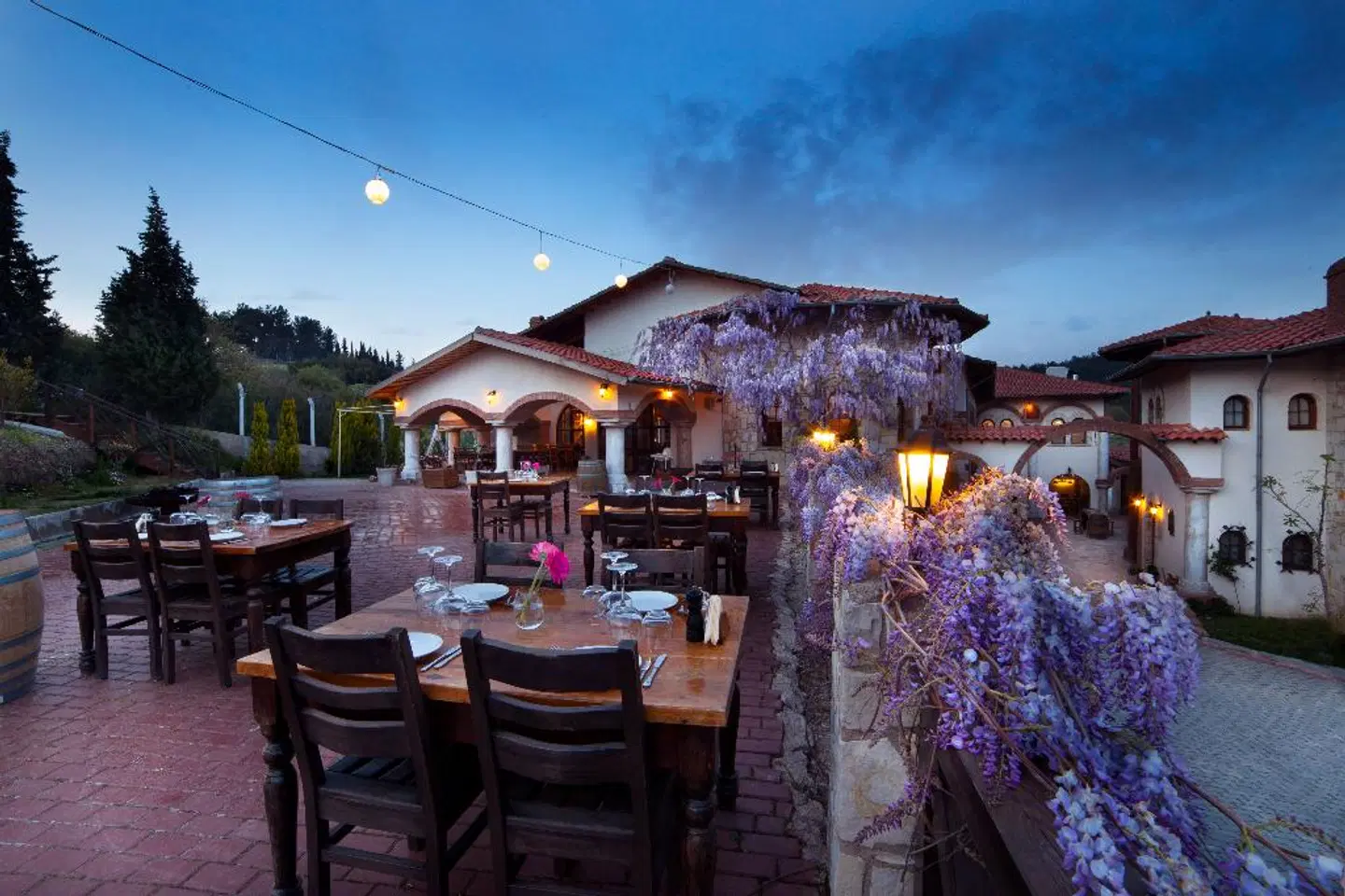 Vinifera Vineyards Hotel Terrasse