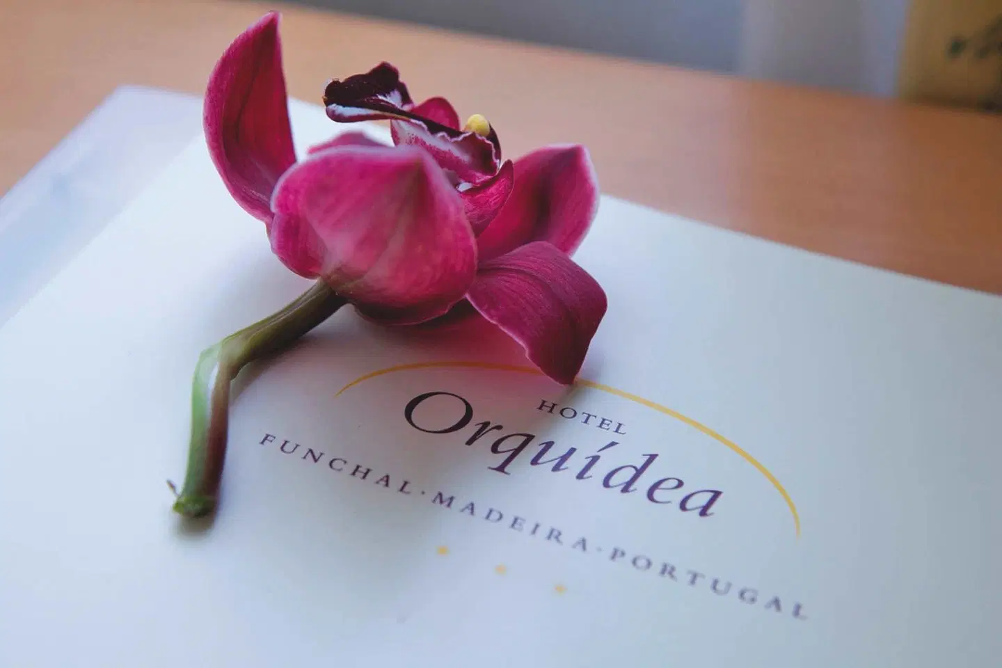 Orquidea HEALTH_BEAUTY