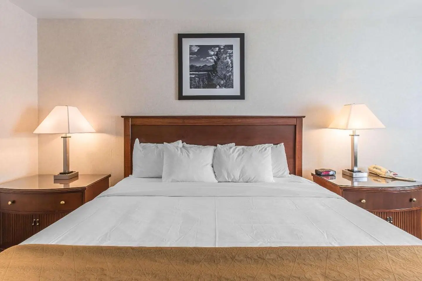 Quality Inn & Suites Steamboat Springs ROOM_EXAMPLE