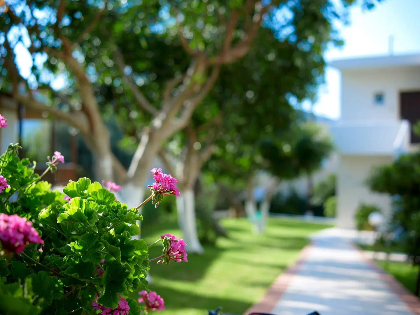 Katrin Hotel & Bungalows Garten