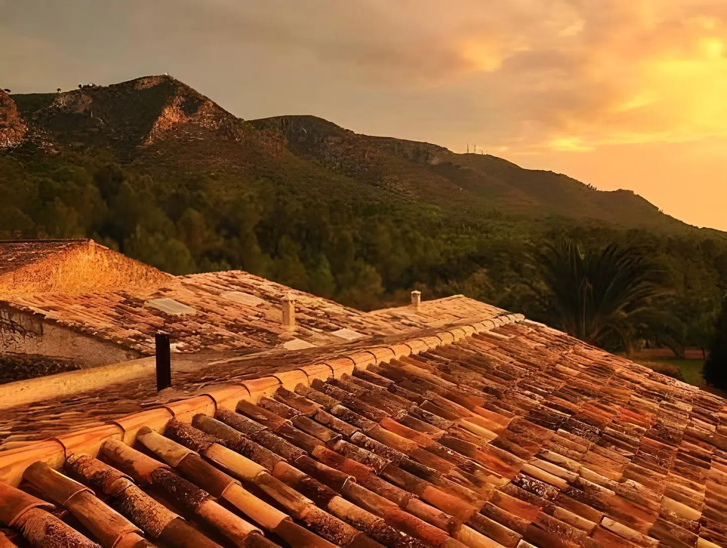 Son Boronat LANDSCAPE